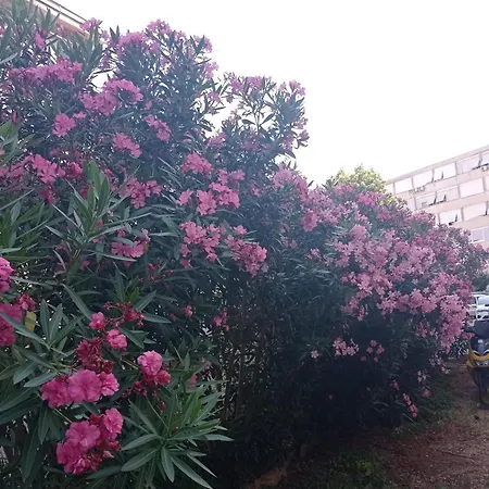 Διαμέρισμα Fibula