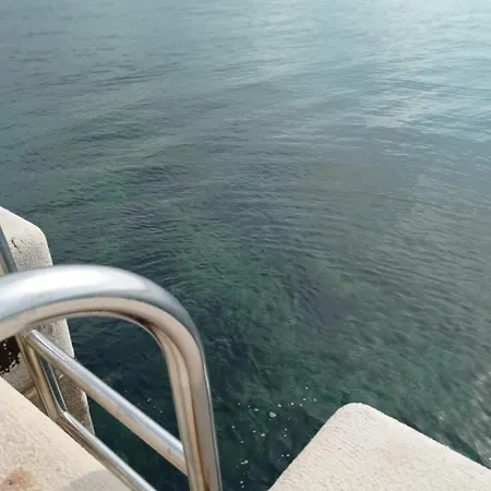 Fibula *