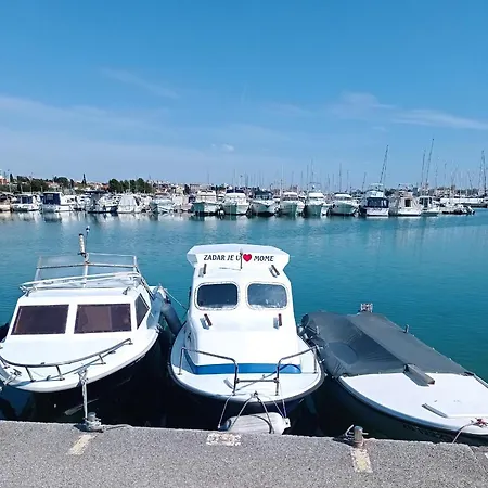 Fibula * Zadar