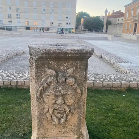 Fibula * Zadar
